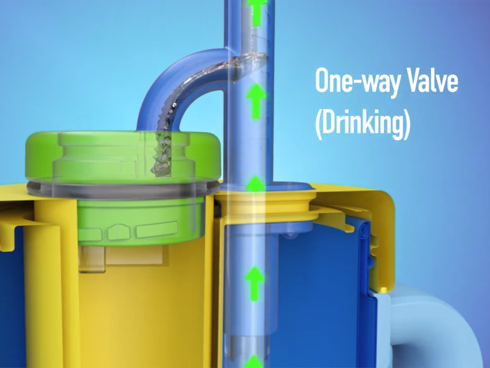 1. Sip